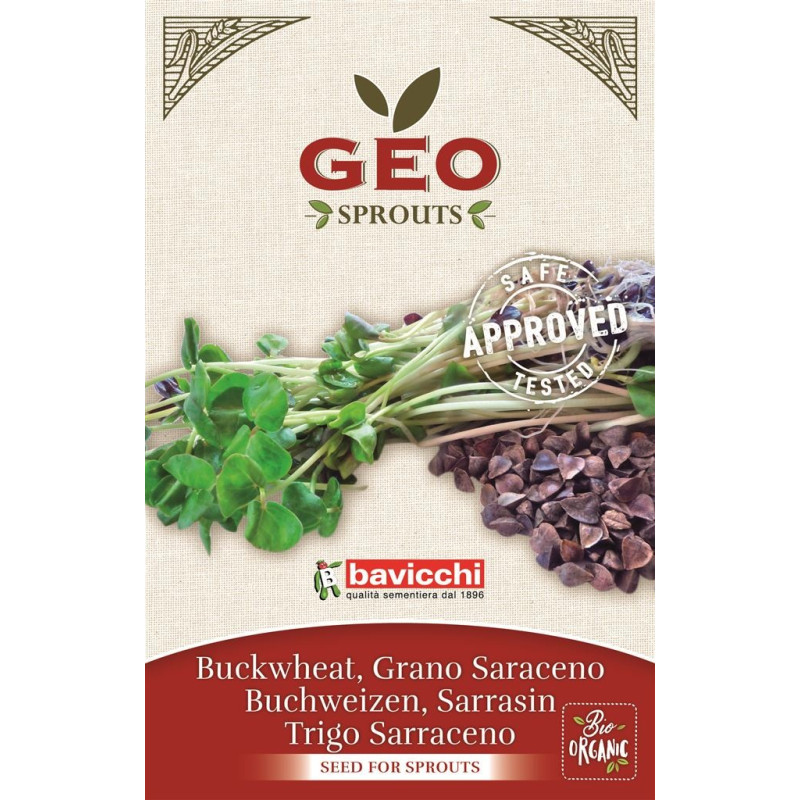 Gryka - nasiona na kiełki GEO, certyfikowane, 90g, Bavicchi