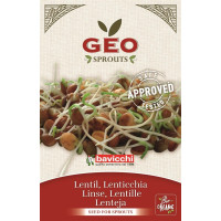 Soczewica - nasiona na kiełki GEO, certyfikowane, 90g, Bavicchi