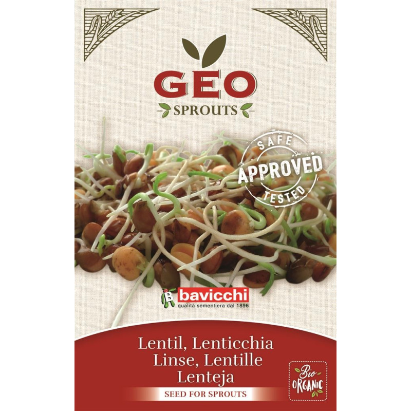 Soczewica - nasiona na kiełki GEO, certyfikowane, 90g, Bavicchi