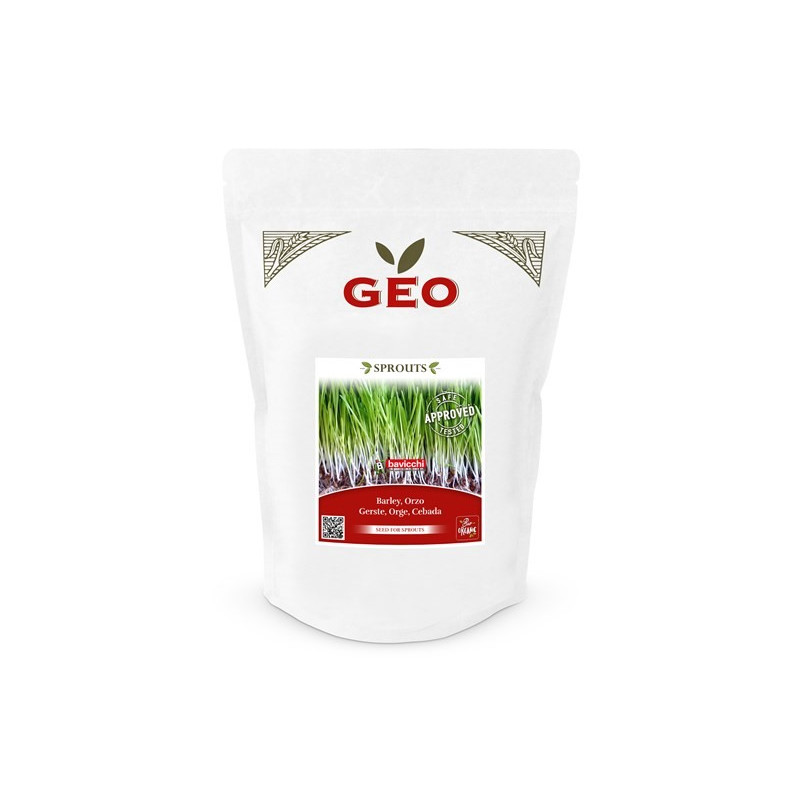 Jęczmień - nasiona na kiełki GEO, certyfikowane, DUŻE OPAKOWANIE, 600g, Bavicchi