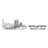 Naturalny dezodorant w kremie - Węgiel i Limonka, 30 ml, Brooklyn Groove