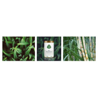 Organiczny olejek relaksujący Drzewo Sandałowe, do skóry i włosów, 100 ml, Zero Waste, Eliah Sahil
