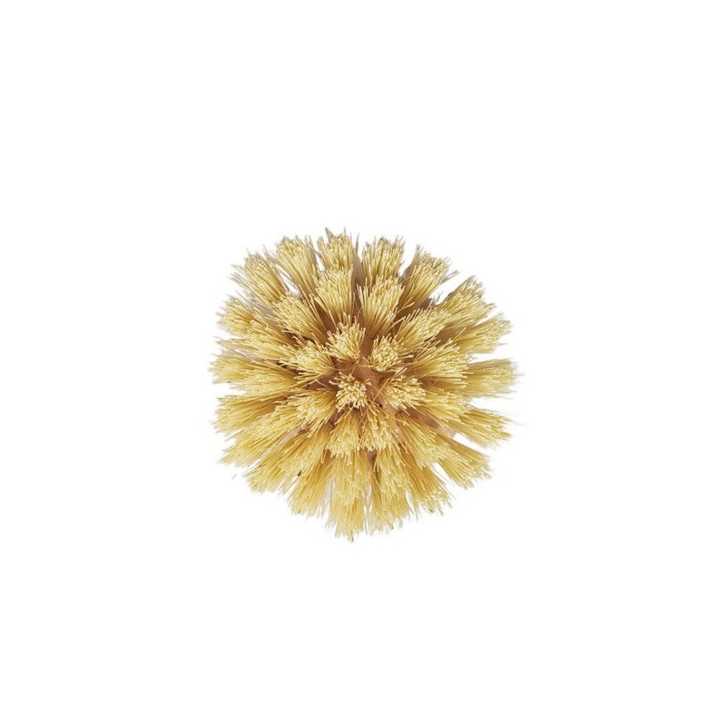 Szczotka do mycia naczyń z rączką, drewno bukowe, włosie tampico (agawa), Starmann