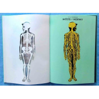 Anatomia. Obraz ludzkiego ciała na wyjątkowych ażurowych rycinach, Helene Druvert, Mamania