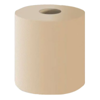 Ręcznik papierowy w roli beżowy, EcoNatural 500 CF, 2 warstwy, 1 rolka, Lucart Professional