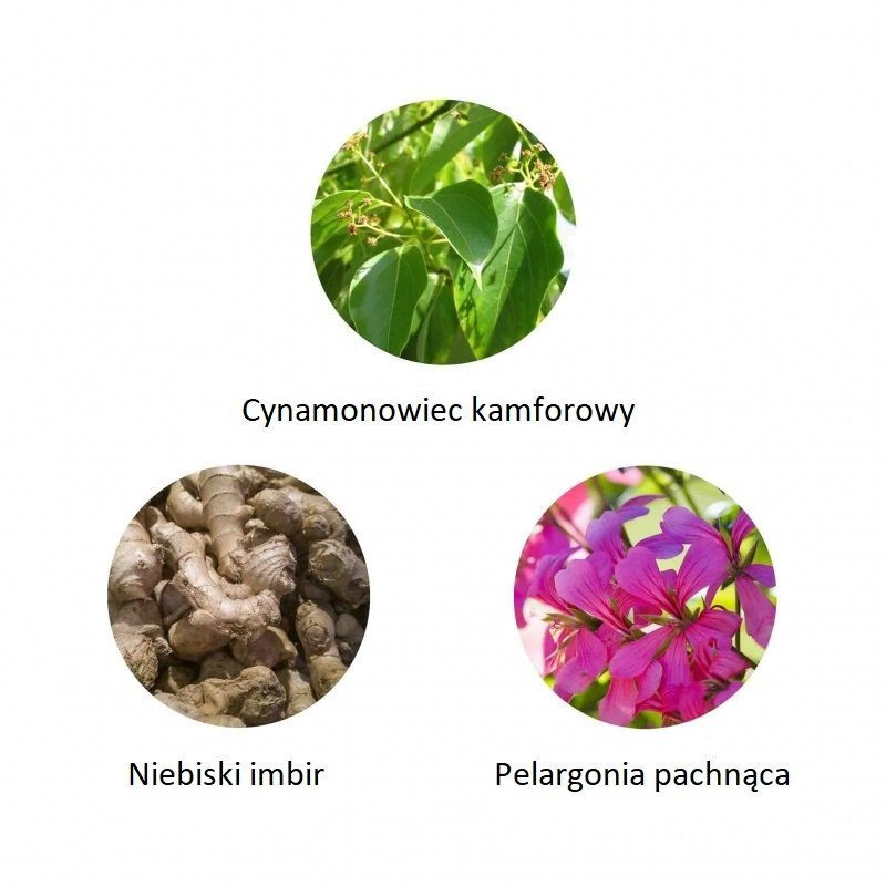 Ekskluzywna ekologiczna woda perfumowana, zapach: Waka-Madagascar, buteleczka, Zero Waste, 11 ml, Cosmos Natural, FiiLiT
