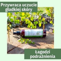 Balsam brzozowy z betuliną, Sylveco, 300 ml - naturalne kosmetyki